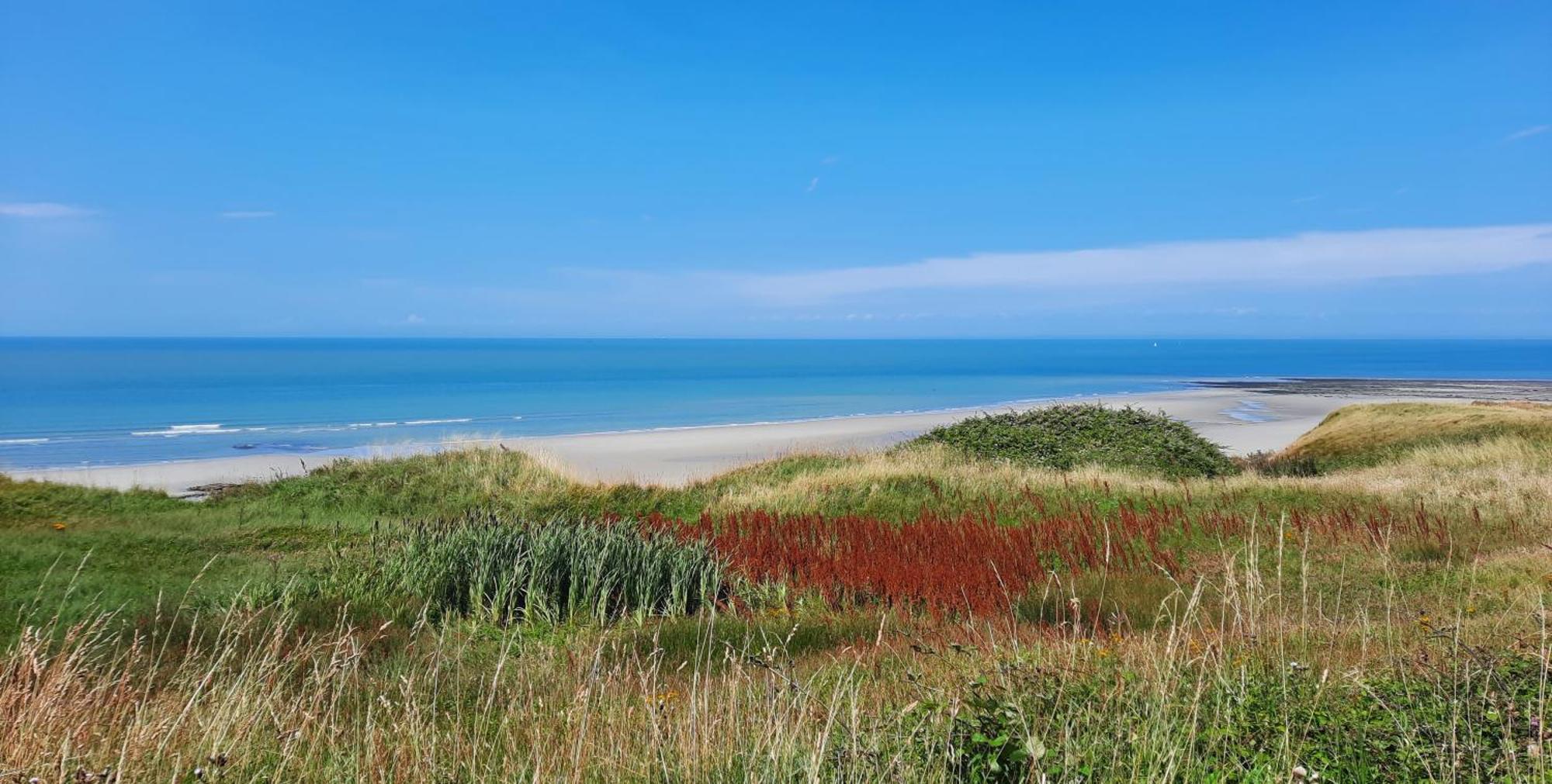 Le 246 - Duplex Face A La Mer Pour 4 Personnes, Wifi, Tv Full Sat, Parking Wimereux Eksteriør bilde